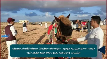 <p><strong>ميزانية موفرة..</strong> خطوات سهلة لقضاء مصيف الشباب والرياضة بحدود 800 جنيه فقط.</p>